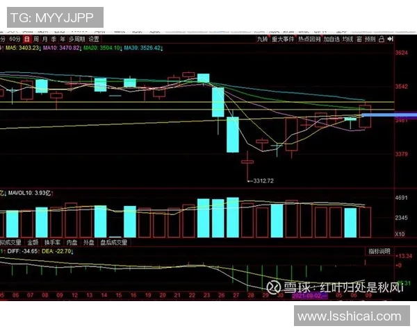 杭州羽毛球队与武汉羽毛球队赛后复盘分析比赛节奏与战术对比