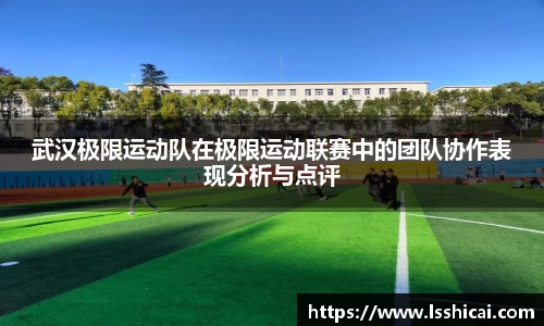 武汉极限运动队在极限运动联赛中的团队协作表现分析与点评